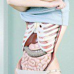 Fotografía Anatomía