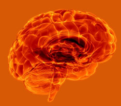 Cerebro