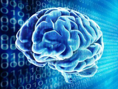 Cerebro virtual 400x300 El efecto Google: ¿para qué memorizar datos si tengo acceso instantáneo a ellos?