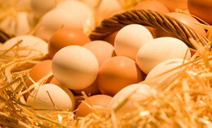 Huevos El Mito de las Quemaduras y Claras de Huevo