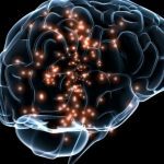 Cerebro actividad eléctrica