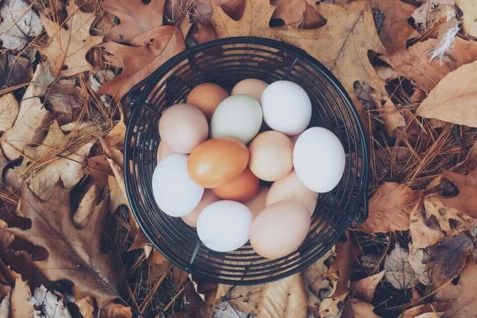 cesta de huevos