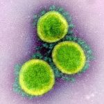 Virus SARS-CoV-2
