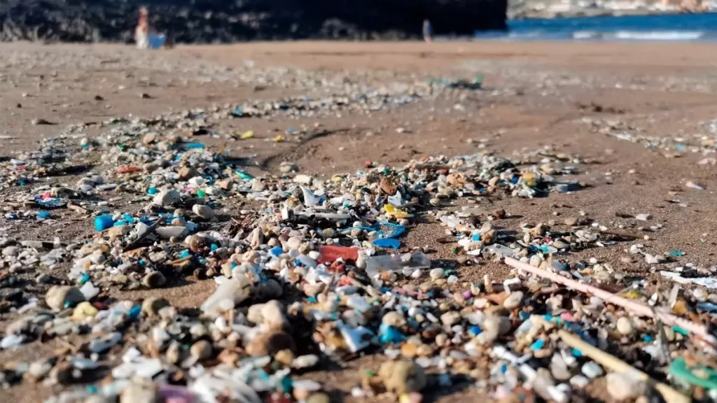 Plásticos playa